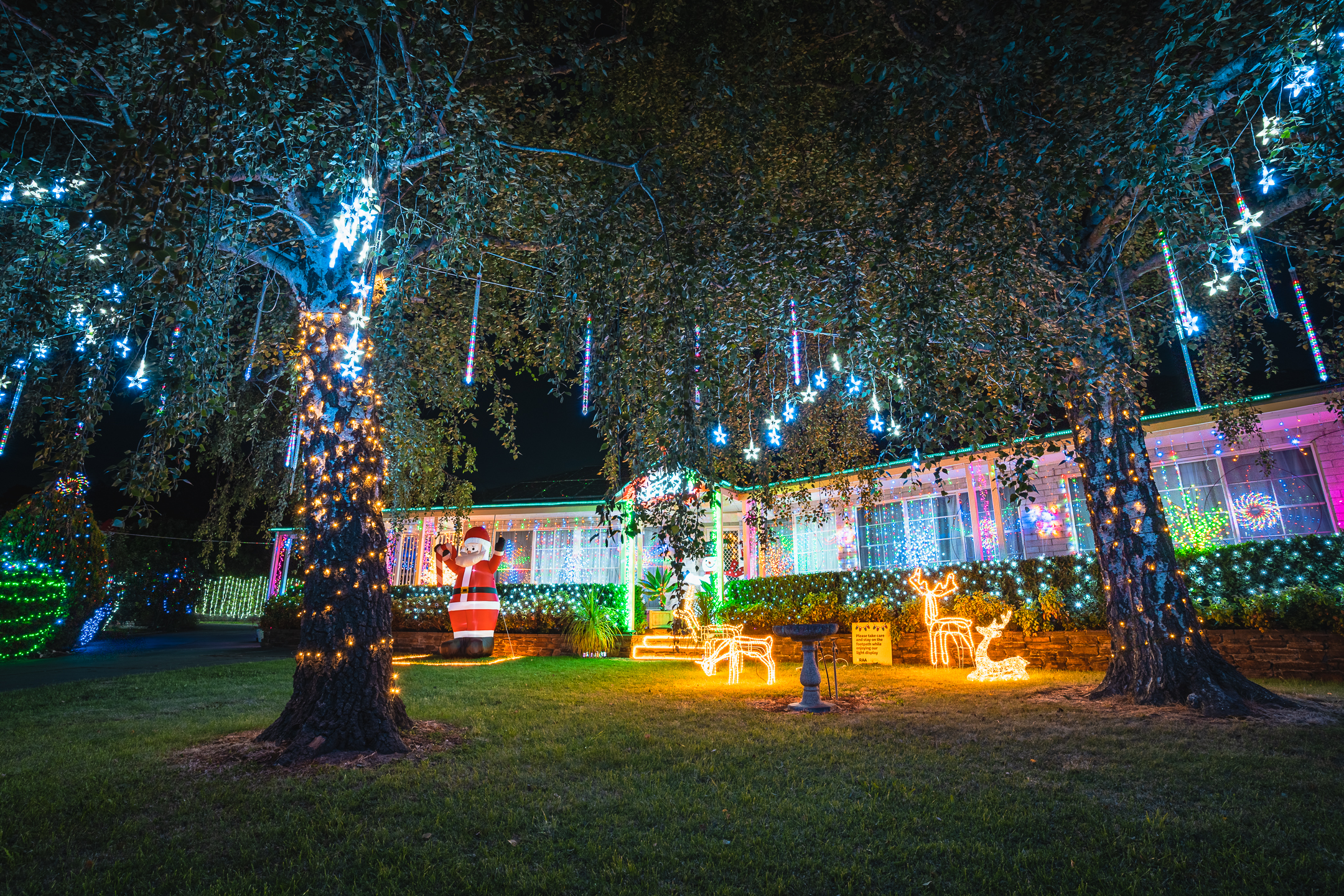 A house and trees are decorated in glittering christmas lights